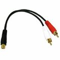 Fasttrack VALUE SERIES RCA JACK TO RCA PLUG x 2 Y-CABLE FA56848